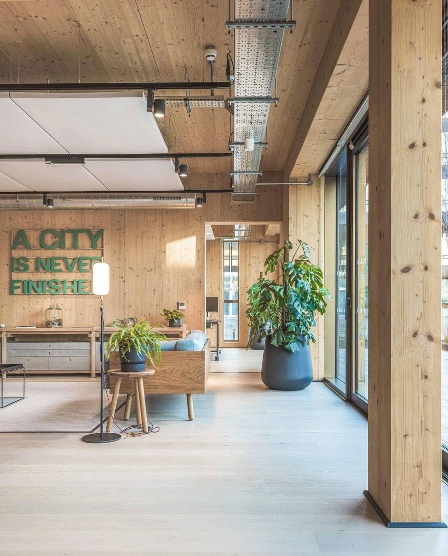 Modern office interior with wooden walls, floors, large windows, and green plants.