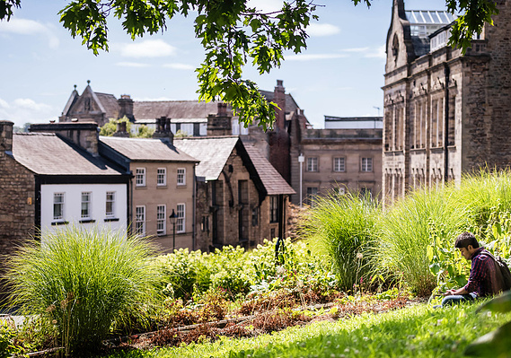 Case Study Photography Cover For Authentic Student Lifestyle Photography For Lancaster University showing a student sat on grass with city backdrop
