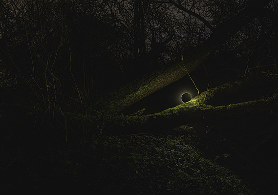 moody night time fine art photography of forest scene. strange orb of light rests on a fallen tree trunk