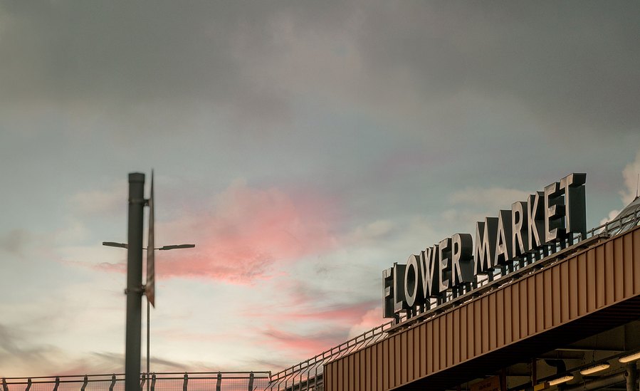london lifestyle photography, architecture shot of flower market sign at dusk