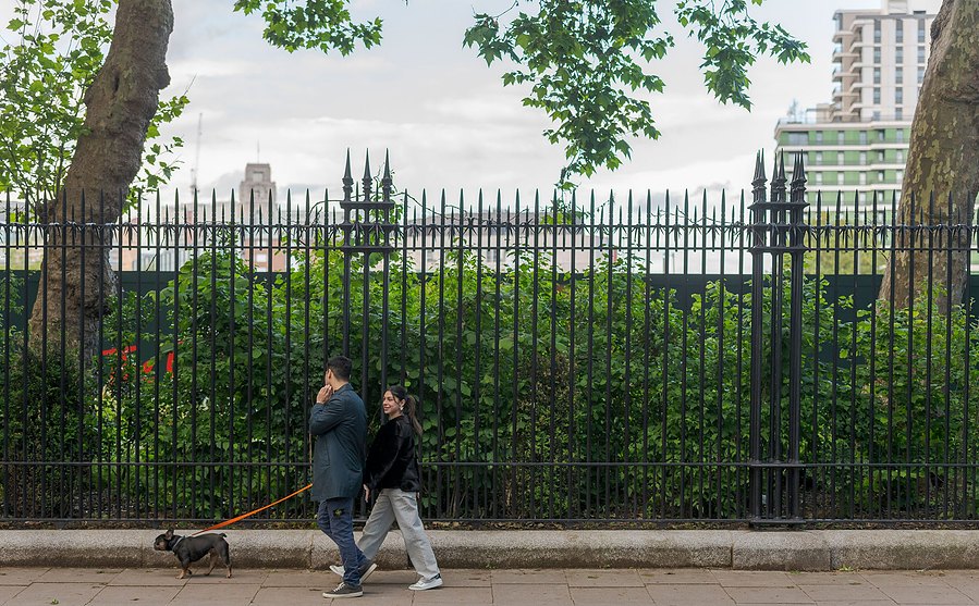london lifestyle photography, dog walkers