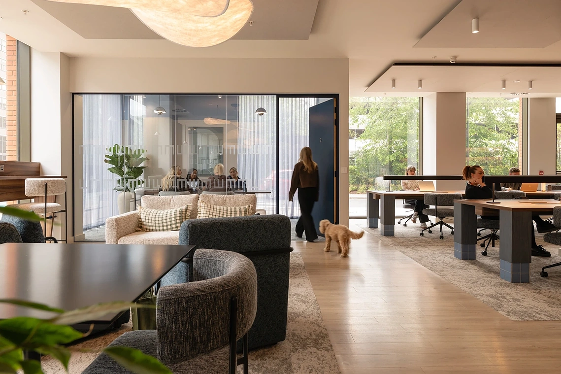 Residents' lounge and glass-fronted meeting room at Podium, Old Trafford, with a resident walking her dog.