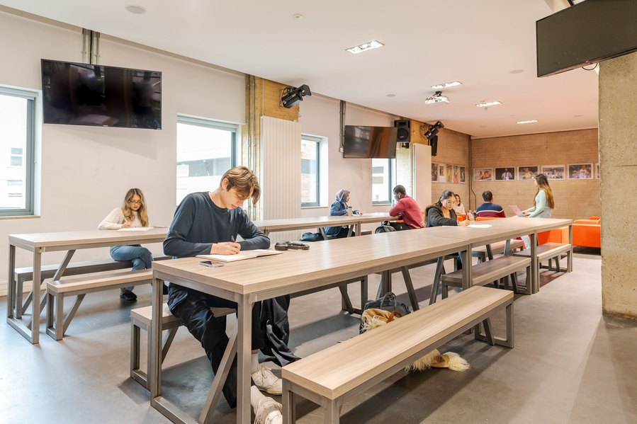 student lifestyle photography, group of students studying, sitting on long benches