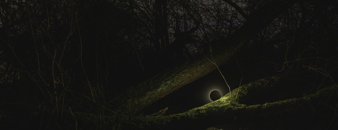 Very dark image of a woodland at night. A fallen tree covered in moss is lit by a strange black glowing orb.