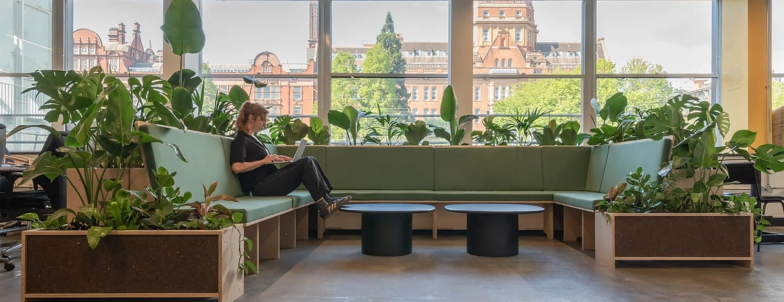 Commercial interiors photography capturing a workers using U-Build modular office furniture surrounded by plants and natural light. 