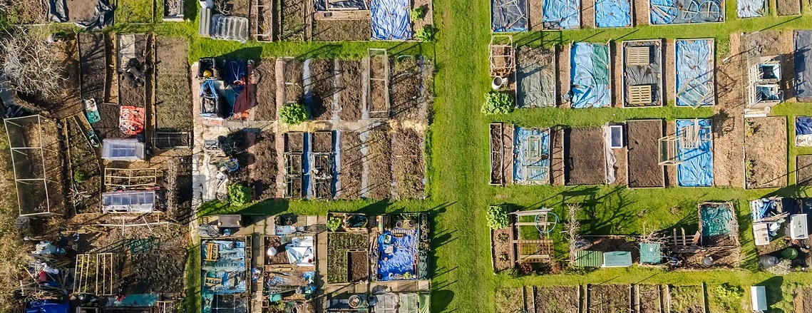 Drone photography showing an overhead shot of an allotment in the Trafford borough, part of a marketing campaign for local council
