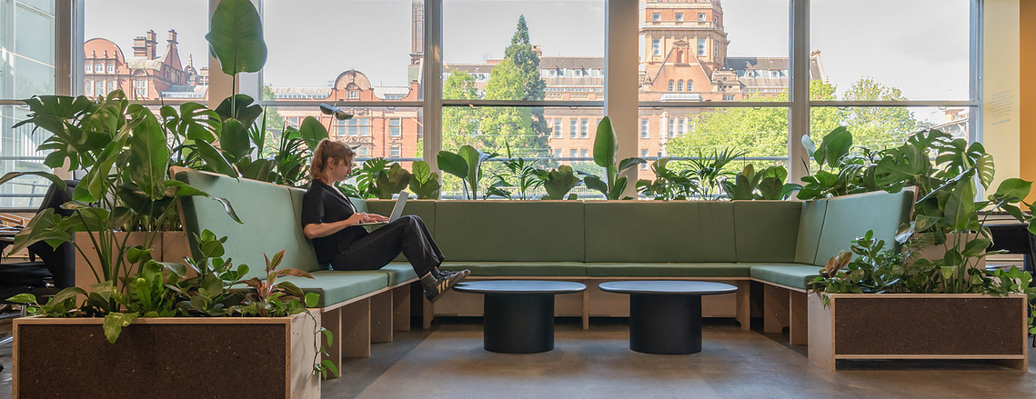 Commercial lifestyle photography - workplace with planting and worker on laptop