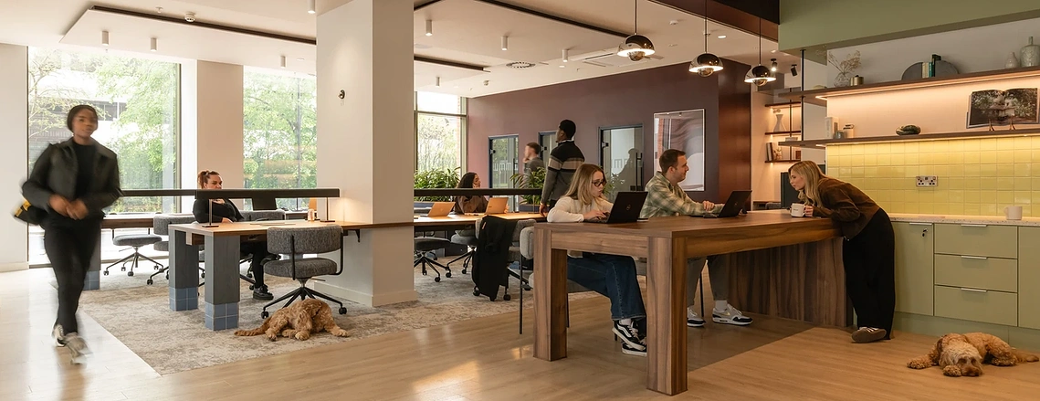 Podium's co-working hub in Old Trafford with residents at desks and dogs relaxing on the floor. Place marketing photography.