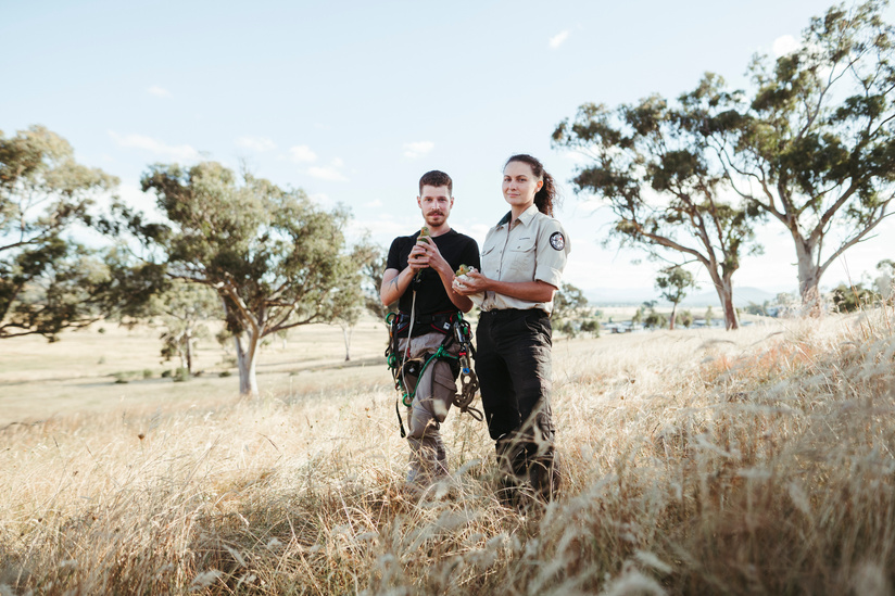 ANU PhD student McLean Cobden, and senior ecologist at the Environment Planning and Sustainable Development Directorate for ACT Laura Rayner, holding nestling superb parrots for banding, measuring and weighing, at the superb parrot nesting site at Thros