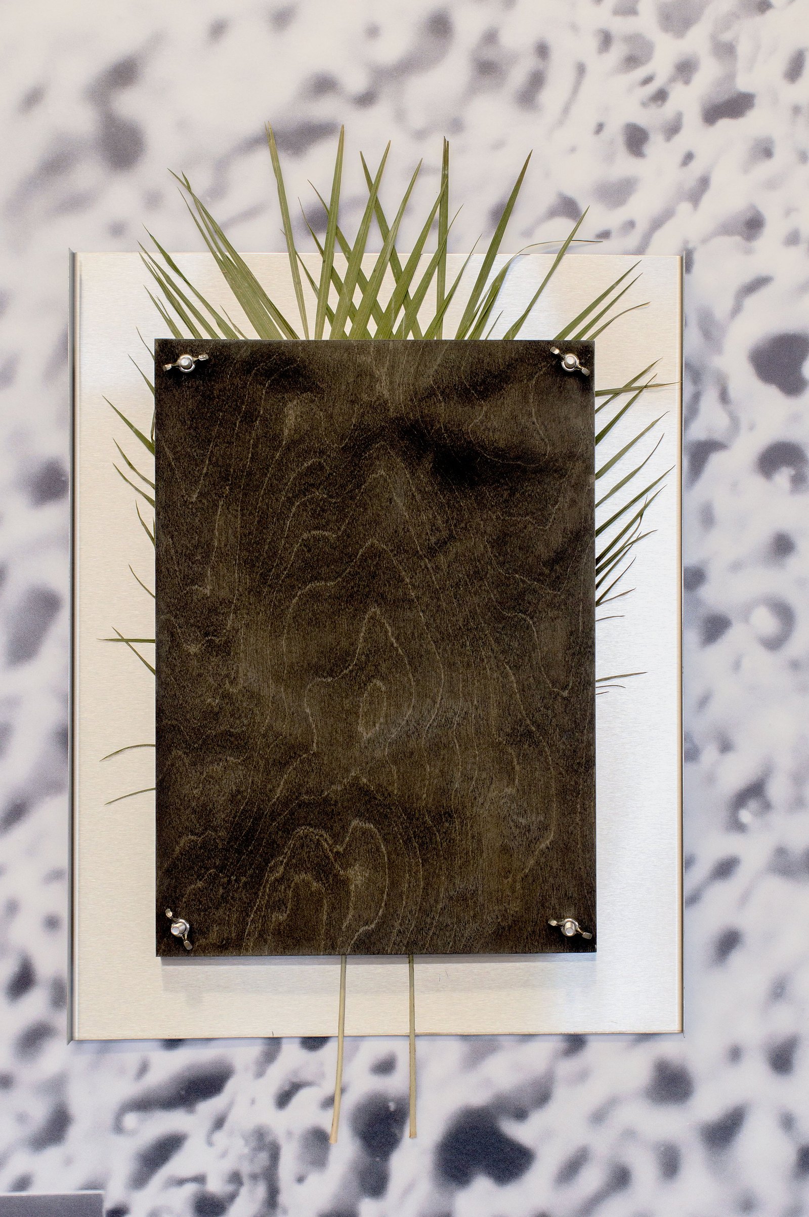 A rectangular stainless steel and plywood sculpture with dried flowers pressed between. Jamie Kane