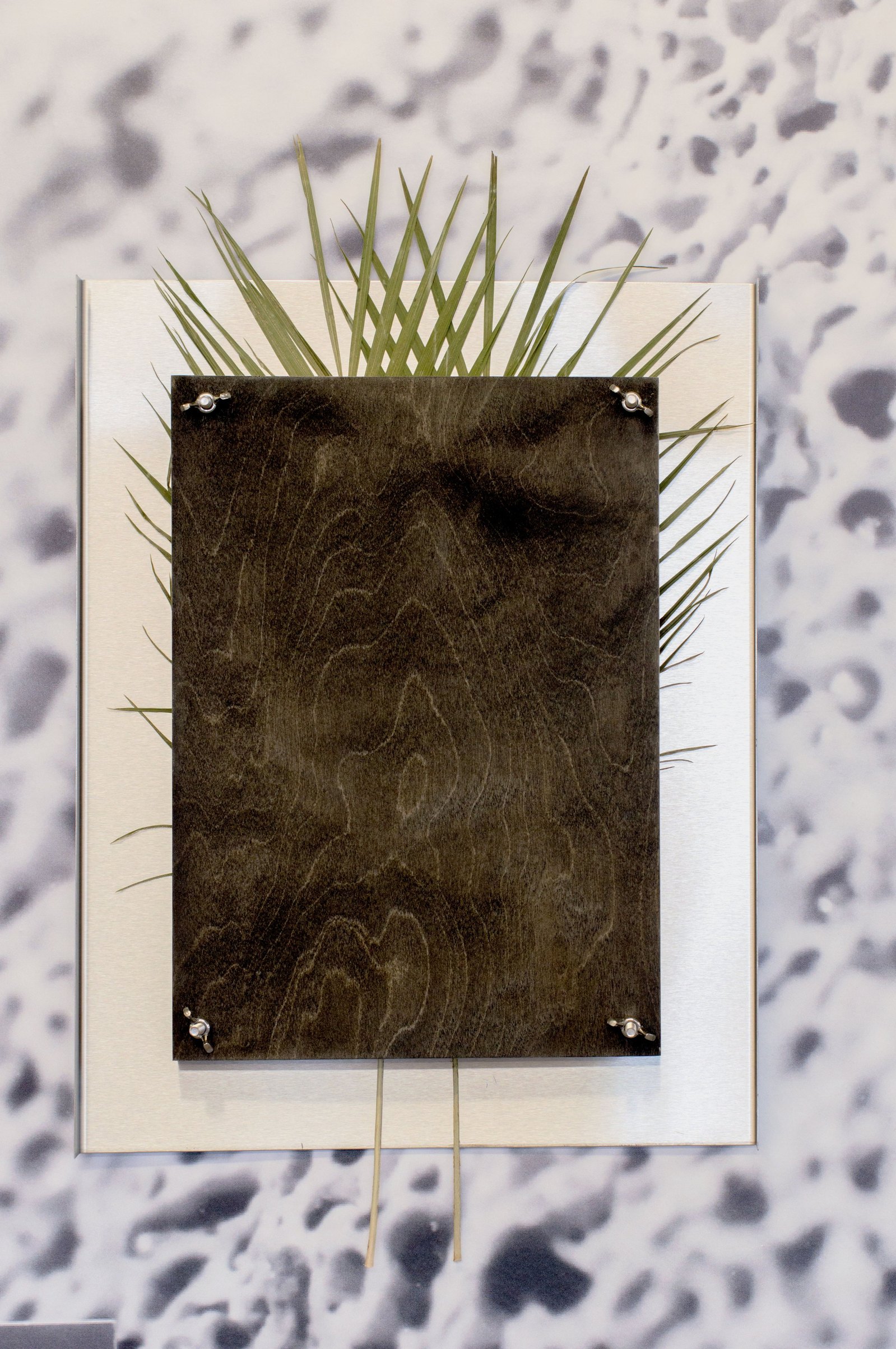 A rectangular stainless steel and plywood sculpture with dried flowers pressed between. Jamie Kane