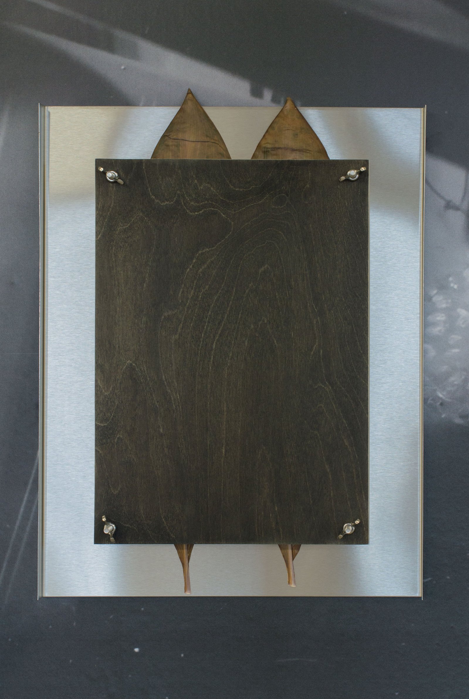 A rectangular stainless steel and plywood sculpture with dried flowers pressed between. Jamie Kane