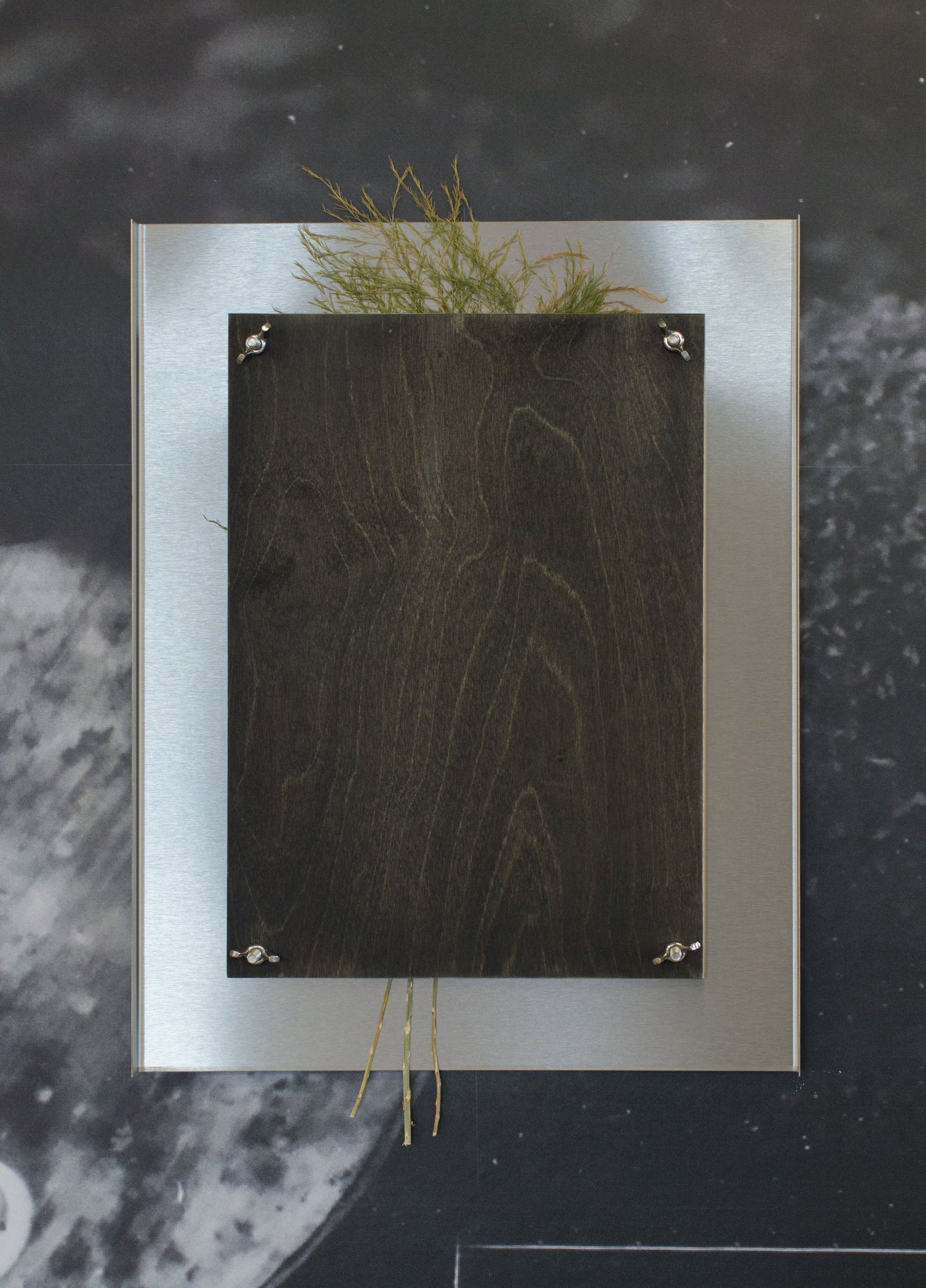 A rectangular stainless steel and plywood sculpture with dried flowers pressed between. Jamie Kane