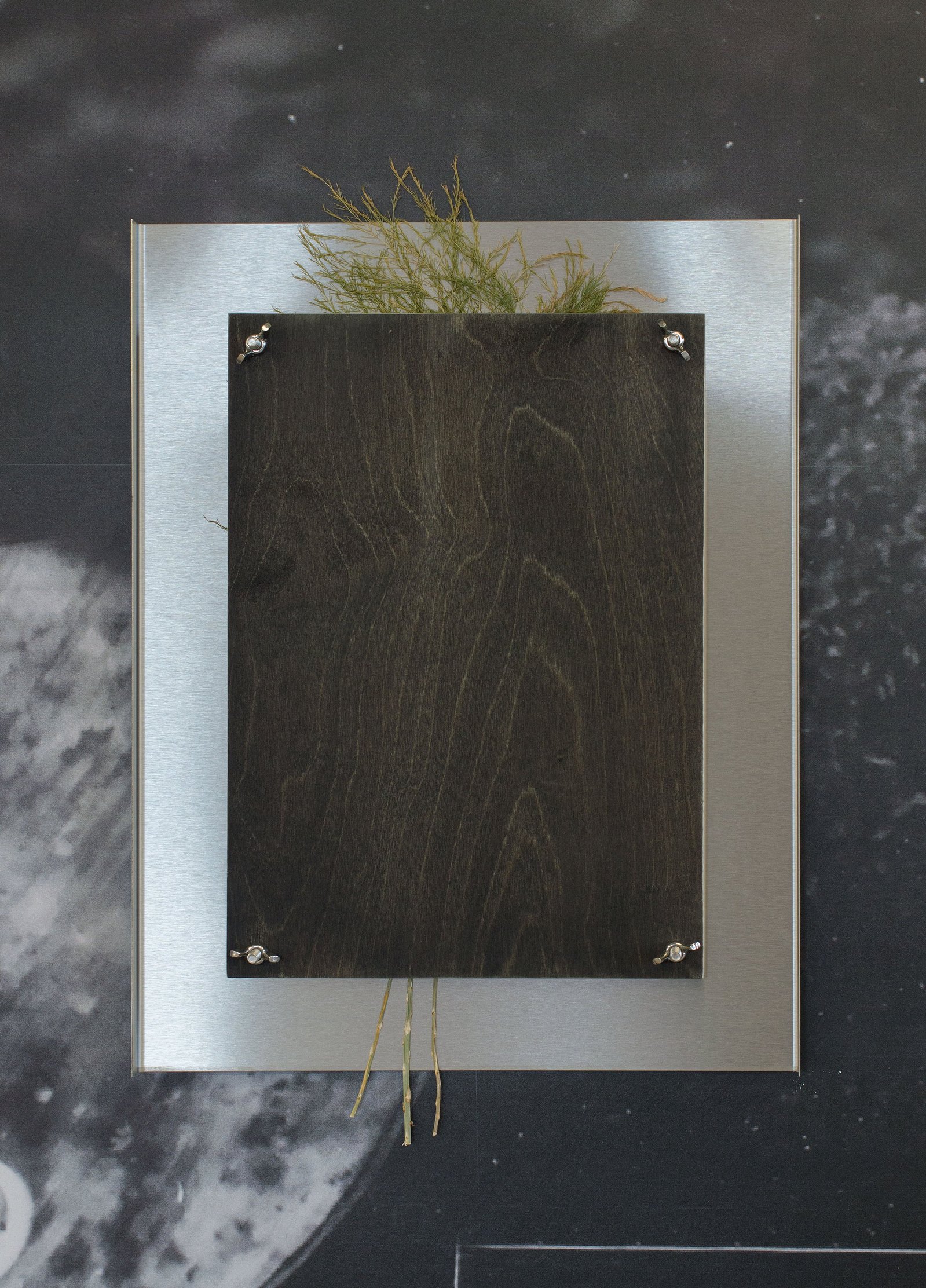 A rectangular stainless steel and plywood sculpture with dried flowers pressed between. Jamie Kane