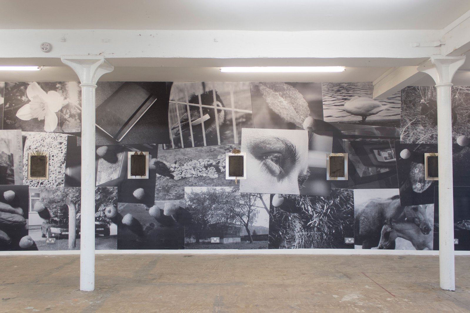 Room with white pillars, the floor is plywood. Along the length of the wall is a black and white floor to ceiling print containing multiple photographic images and large raspberries. Rectangular metal and wood sculptures hang on the wall. Jamie Kane