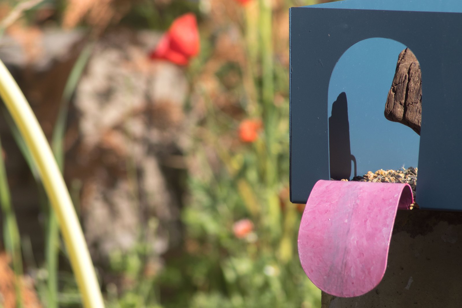 Blue bird feeder with tongues outside