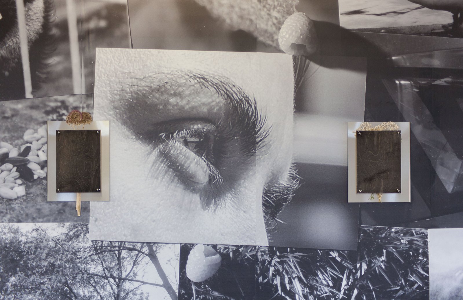 A printed wallpaper in black and white in the centre is a close-up of someone looking to the right. On top are two rectangular metal and wood sculptures with dried flowers between. Jamie Kane