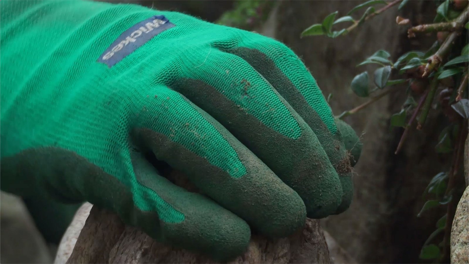 A hand seen close up wearing a green wickes glove with rubber fingers. Jamie Kane