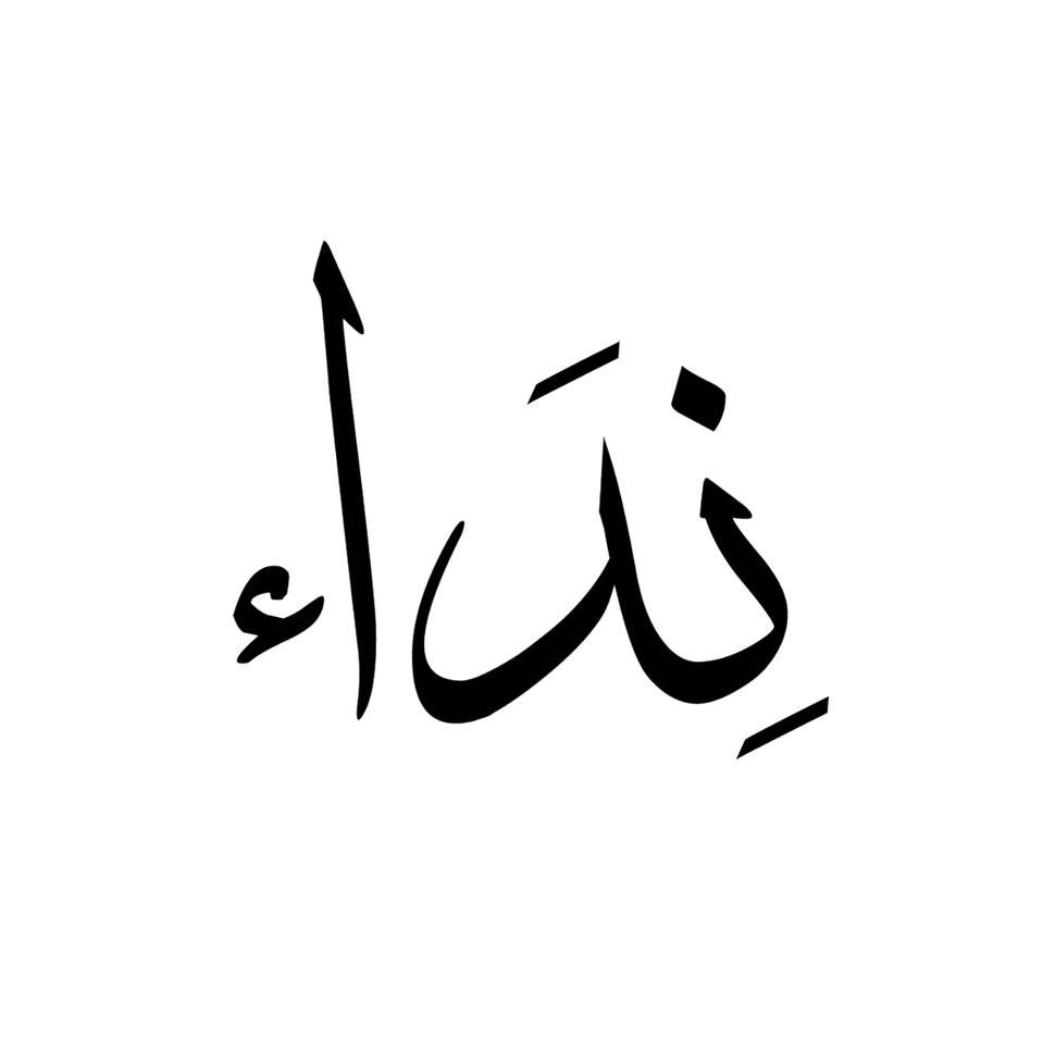 Neda Ahmad Photo