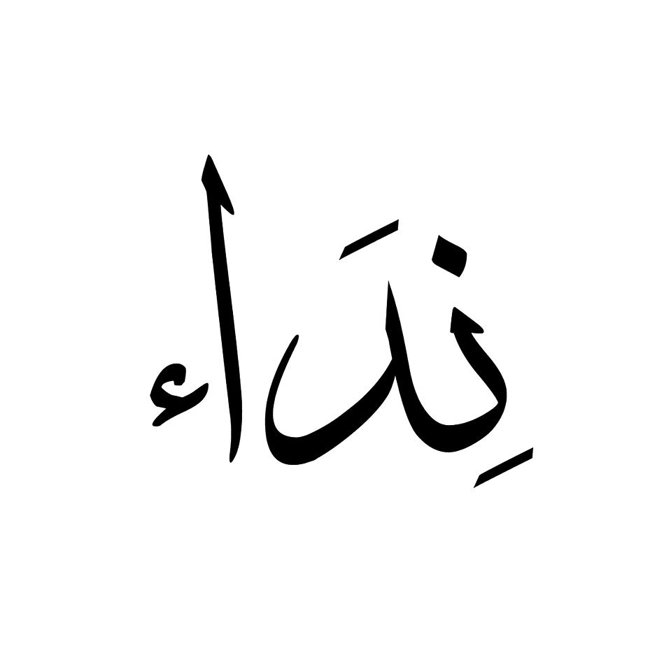 Neda Ahmad Photo