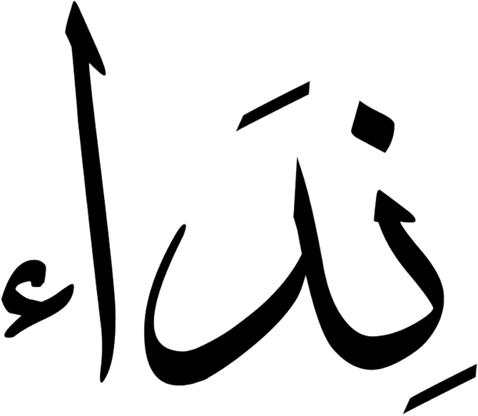 Neda Ahmad Photo