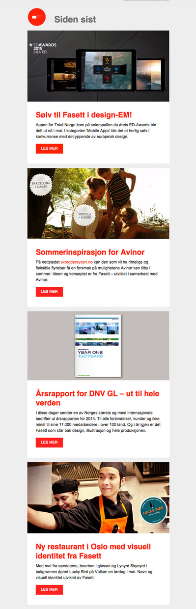 Fasett Newsletter 2015 - design and development