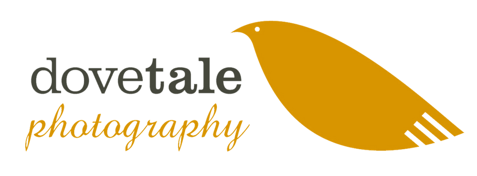 Dovetale Portfolio
