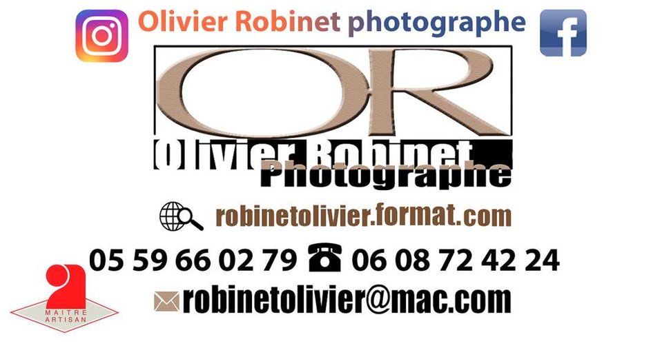 Robinet Olivier's Portfolio