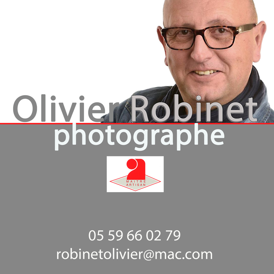 Robinet Olivier's Portfolio