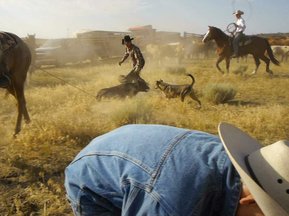Rodeo Shorts (2014-2019)