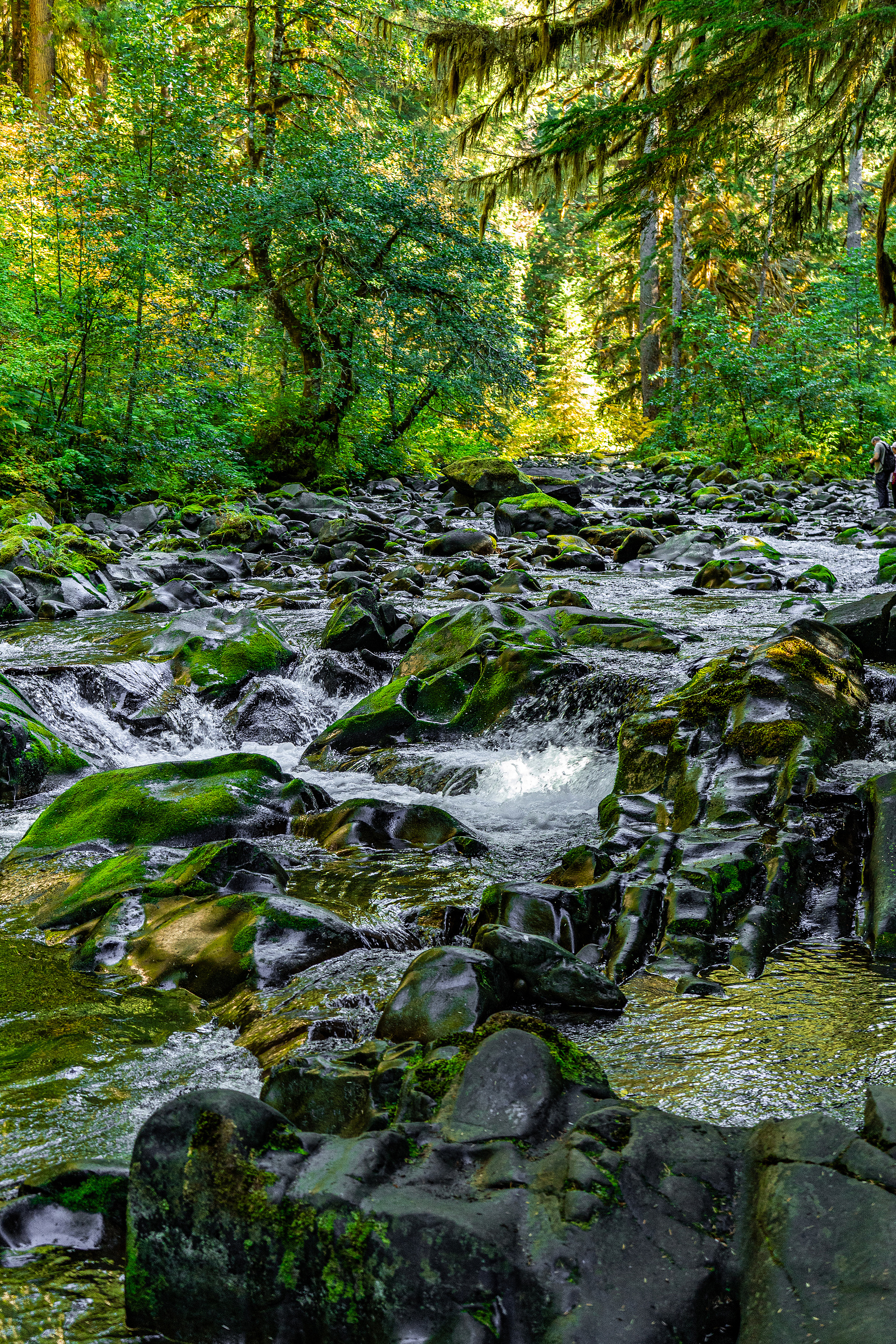 Sol Duc Falls in Olympic National Park, Washington.