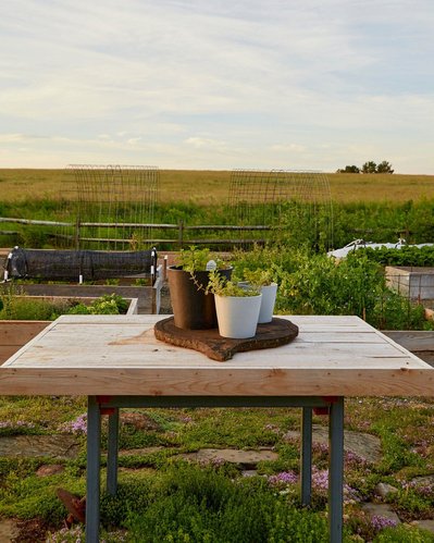 Wooden outdoor garden table in the New York countryside at dawn