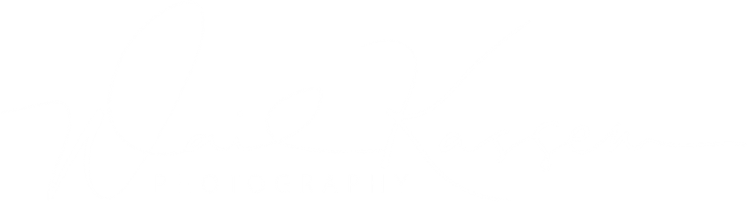 Wail Kassem's Portfolio