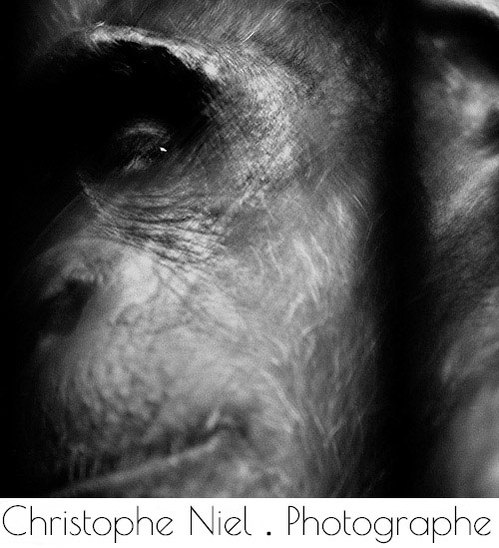 Christophe Niel Photographe Aix en Provence