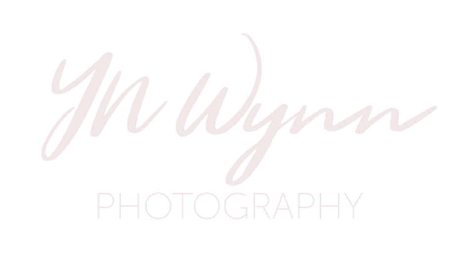 YN Wynn Landscape & Travel Photography