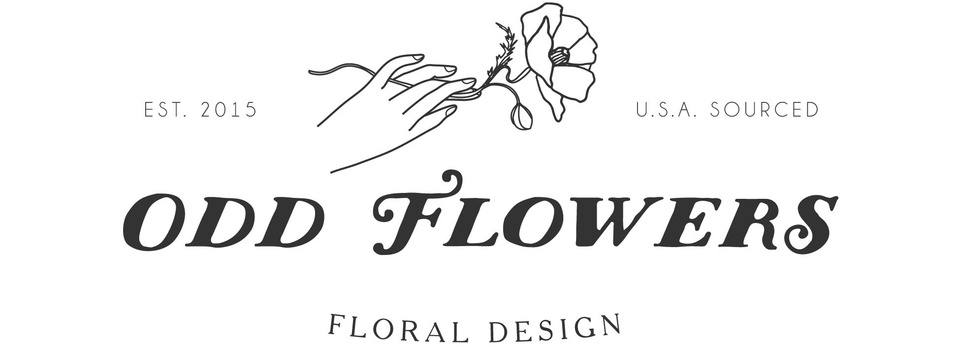 Jessica Gring's Portfolio