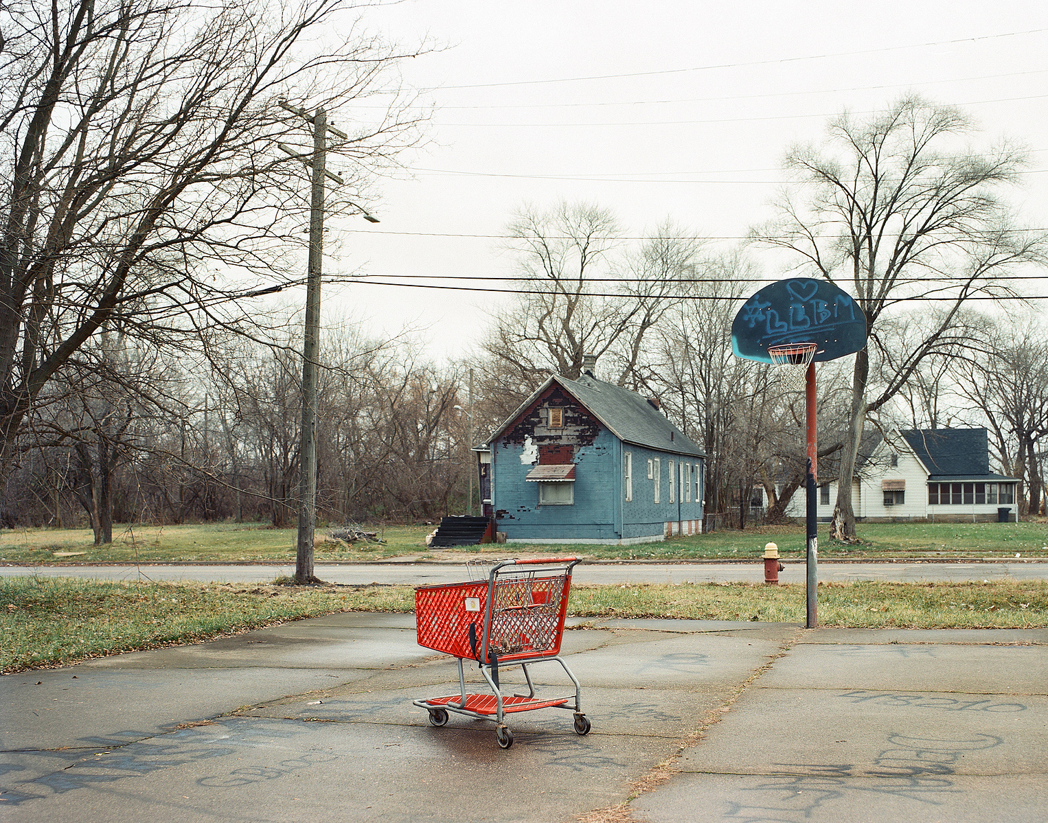 shopping cart in delray detroit