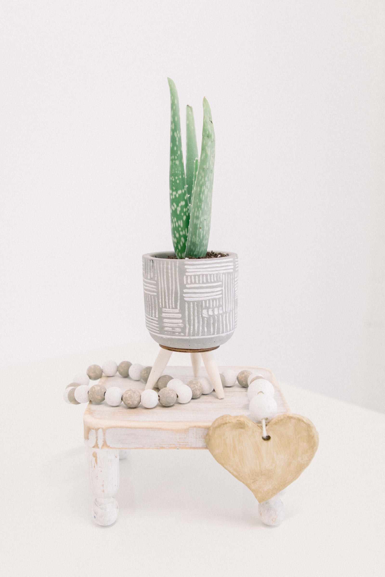 Product photo of plant sitting on handmade wooden shelf, with a handmade wooden garland around it. Emily VanderBeek Photography, branding photography, portrait photography, Niagara portrait photographer, Niagara branding photographer.