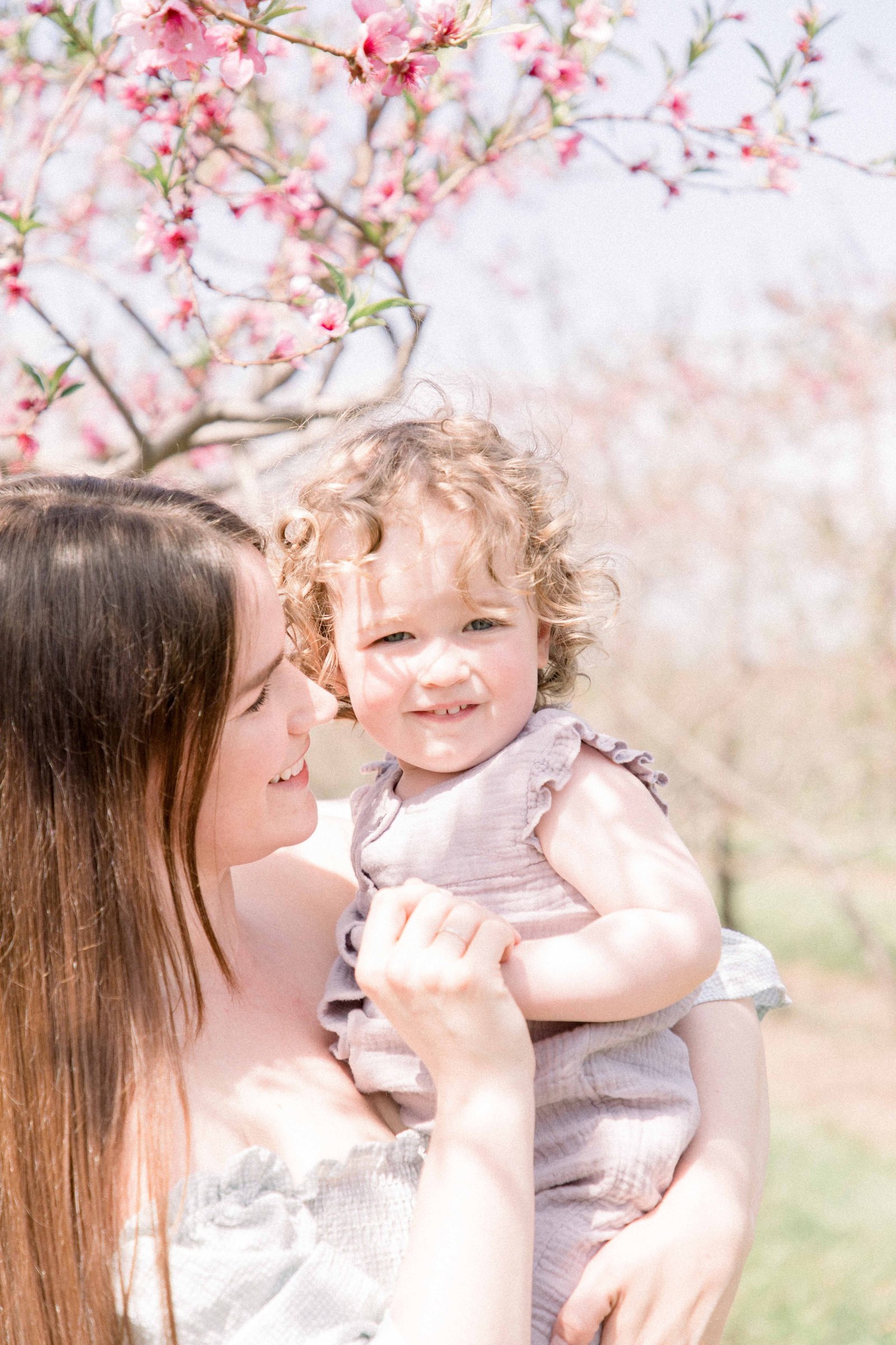 Portrait of mother and baby daughter in an orchard of fruit blossoms. Niagara Family Photographer, Niagara Portrait Photographer, Niagara Motherhood Photographer. Emily VanderBeek Photography, Emily VanderBeek Photo.