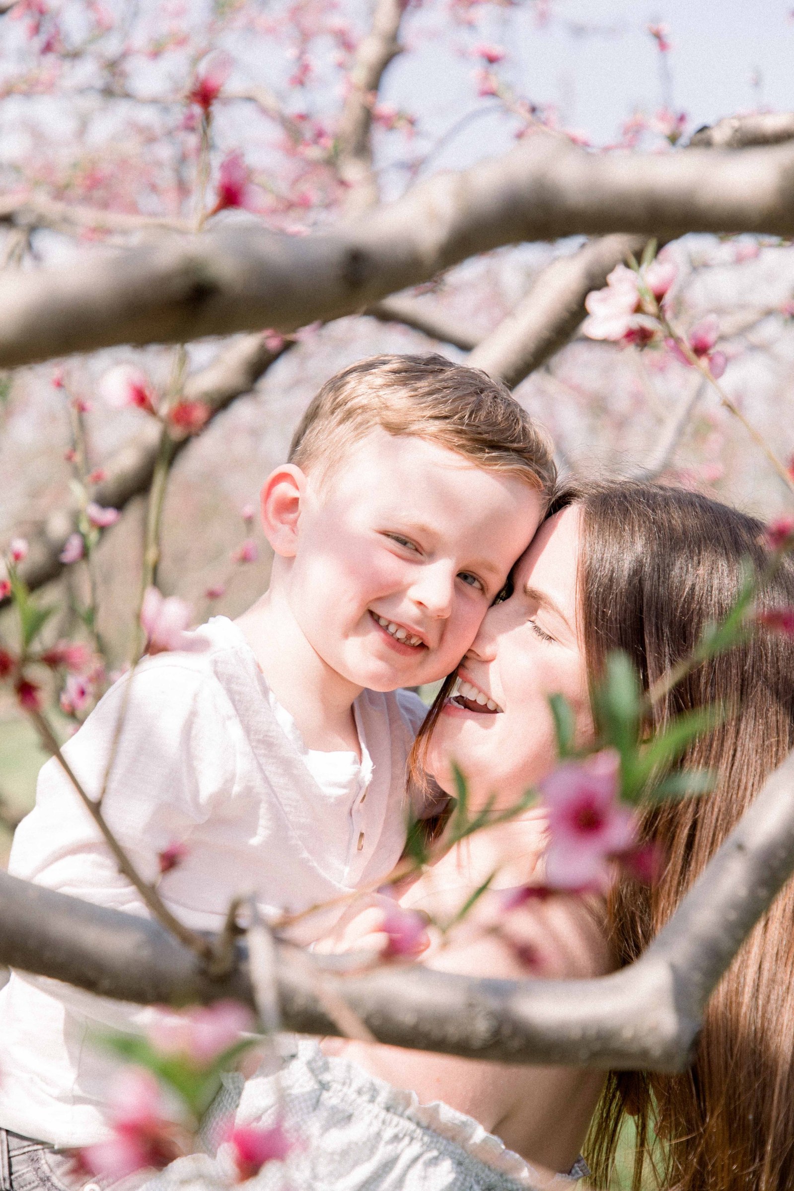 Portrait of mother and son hugging and laughing in an orchard of fruit blossoms. Niagara Family Photographer, Niagara Portrait Photographer, Niagara Motherhood Photographer. Emily VanderBeek Photography, Emily VanderBeek Photo.
