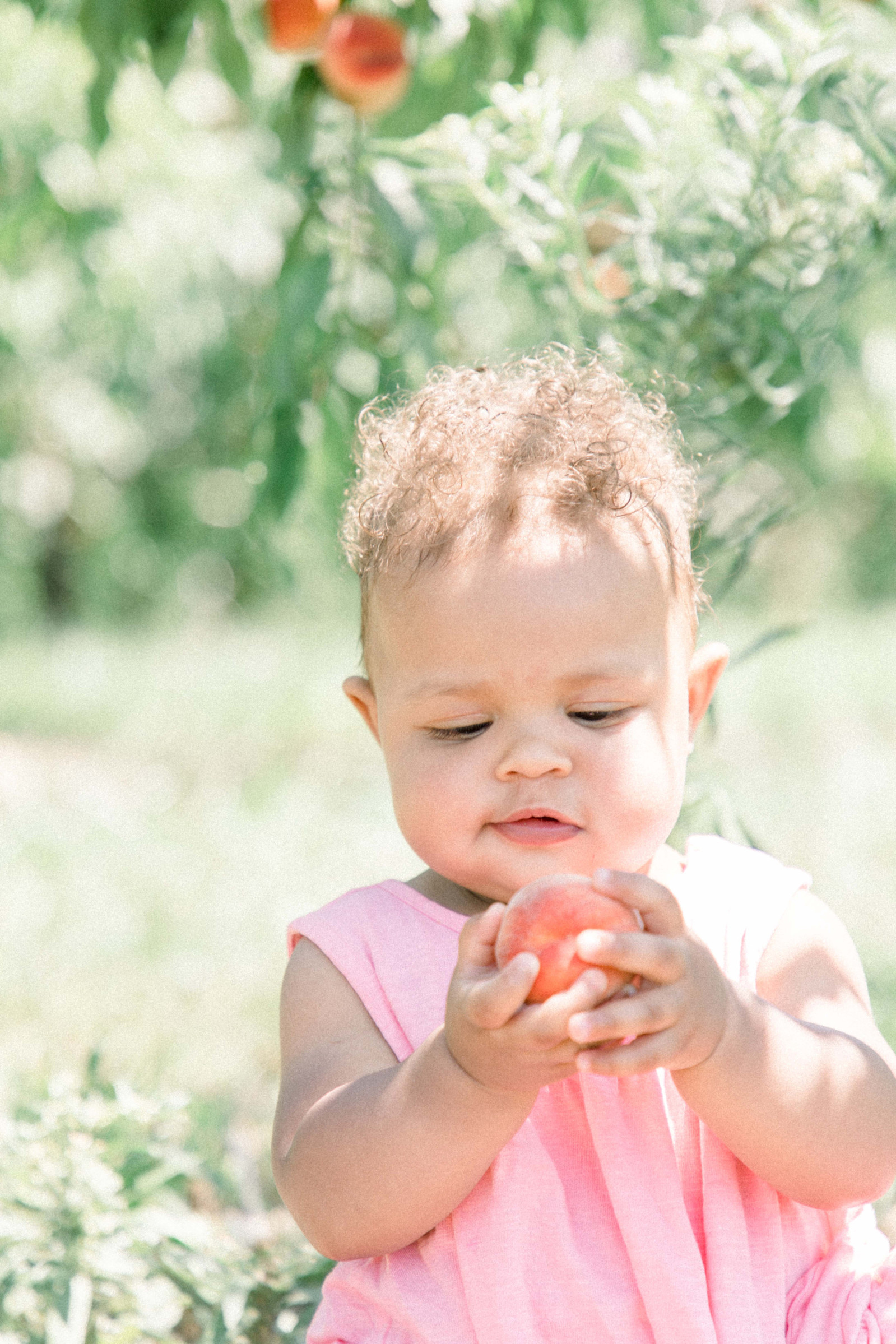 Portrait of baby girl sitting in a peach orchard playing with peach, Emily VanderBeek Photography, Portrait and Family photography, Niagara Photographer, Champlain Photographer, Vaudreuil-Soulanges Photographer, candid photography, authentic photography.