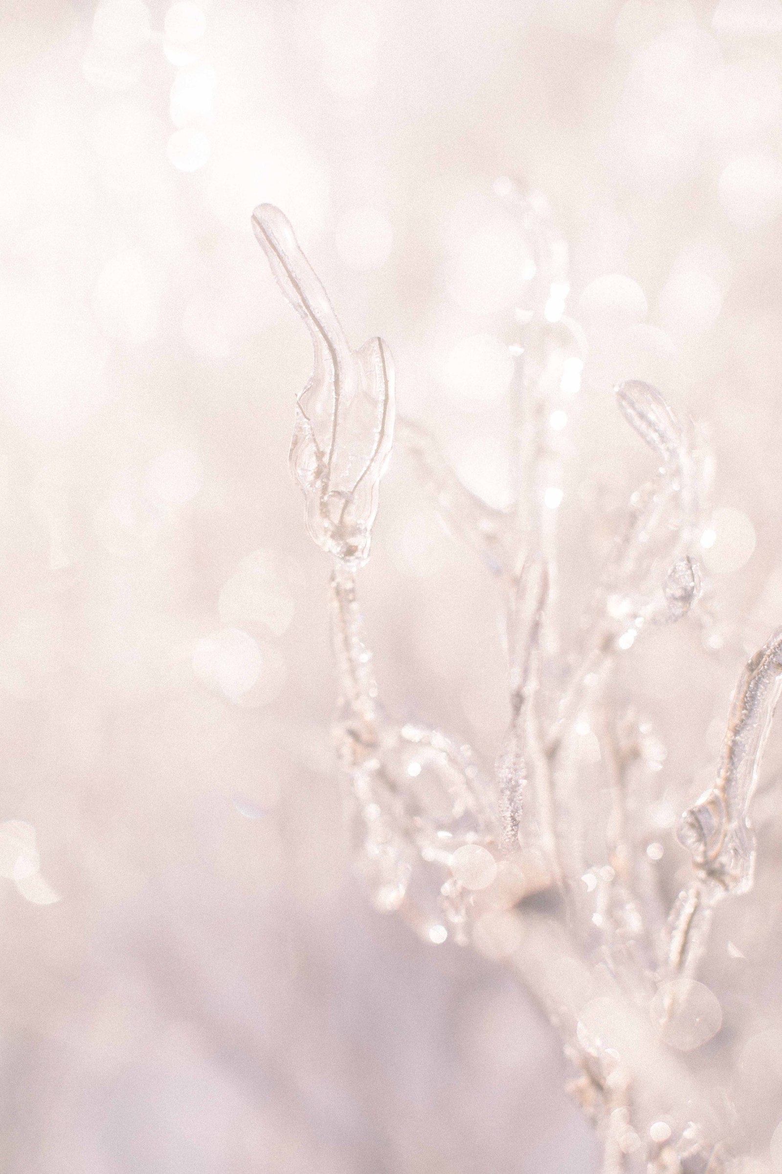 Close up detailed photo of ice around plants. Emily VanderBeek Photography, nature photographer, Champlain Ontario, Discover Ontario, Niagara Photographer, Champlain Photographer, Vaudreuil-Soulanges Photographer.