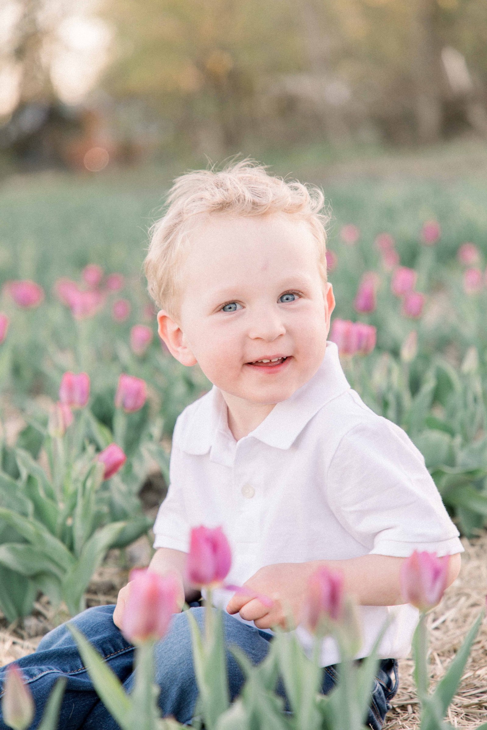 Portrait of a young boy sitting in a tulip field, looking at the camera and smiling. Vankleek Hill Portrait Photographer, L'Orignal, Champlain, Prescott-Russell, Family Photography, Candid Photography, Emily VanderBeek Photography.