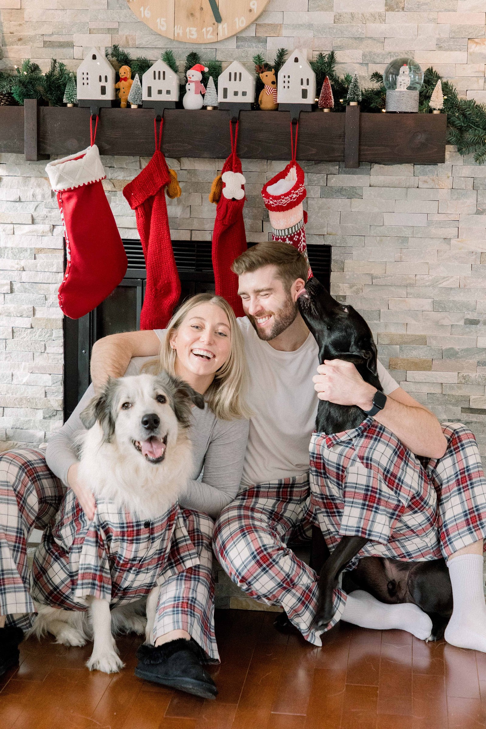 Christmas card photo of male & female couple with their two big dogs inside their home. Christmas Photos. Ottawa Photographer. Vankleek Hill Photographer. Champlain Photographer. Emily VanderBeek Photography. Candid photography.