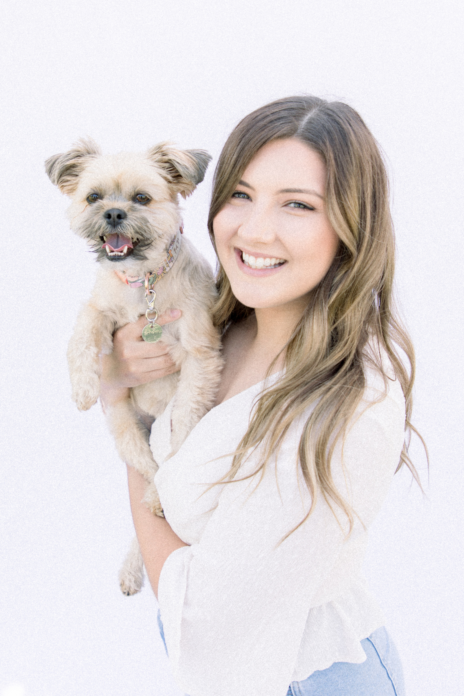 Light and airy photo of a small dog being held by owner. Emily VanderBeek Photography, Niagara portrait photographer, Niagara family photographer, candid photography, authentic photography, Ottawa portrait photographer, pet photography.