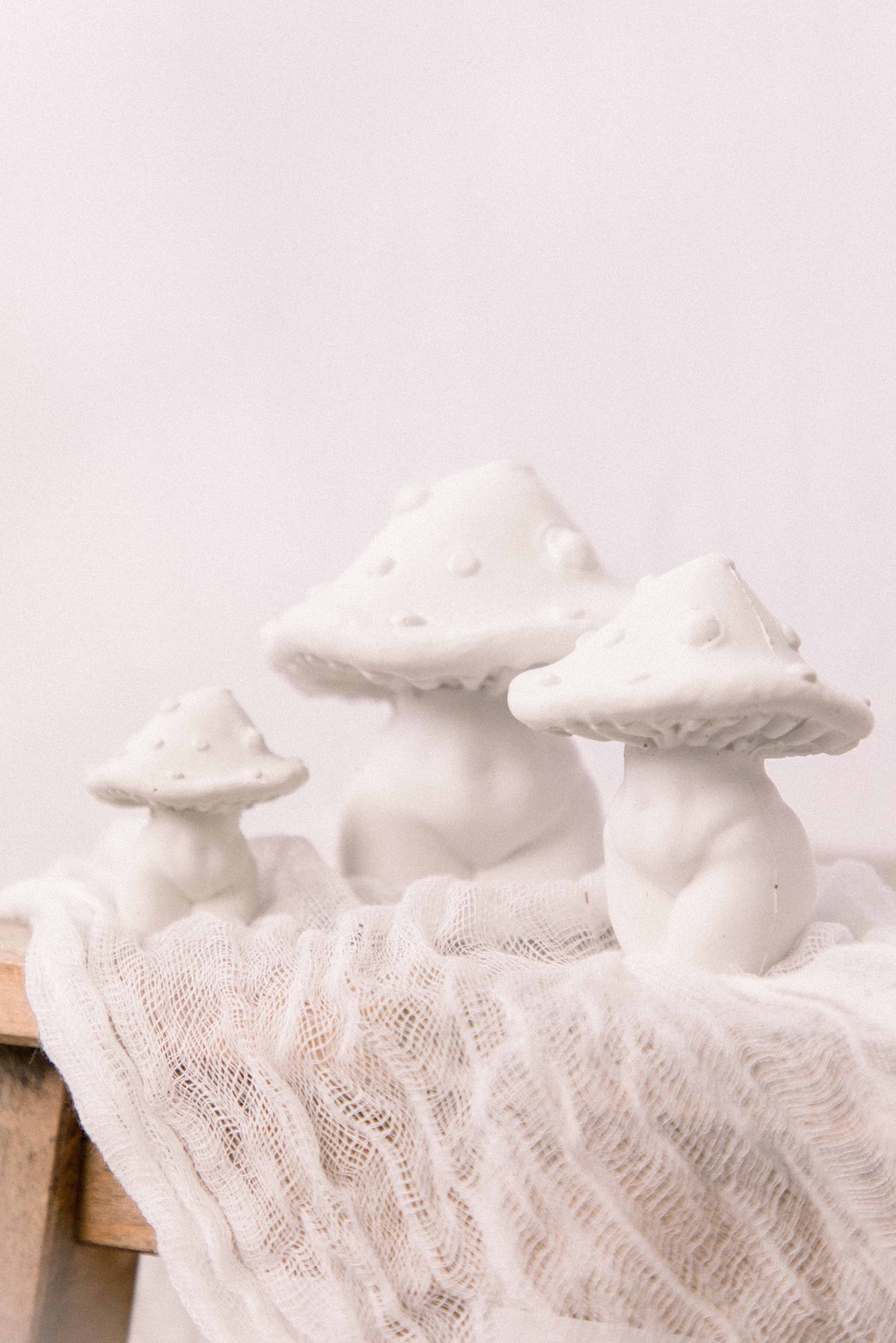 Small Business Owner, Female small business owner, Emily VanderBeek Photography, Niagara Photographer, Branding Photographer, Candid Photographer. Product Photographer.