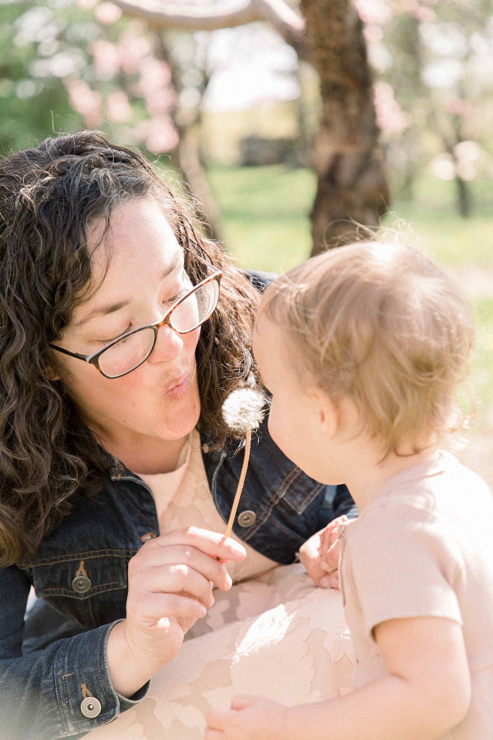 Extended family photo taken in an orchard. Spring Session. Family Photography. Niagara Family Photography, Niagara Portrait Photographer. Jordan, Ontario. Emily VanderBeek Photography.