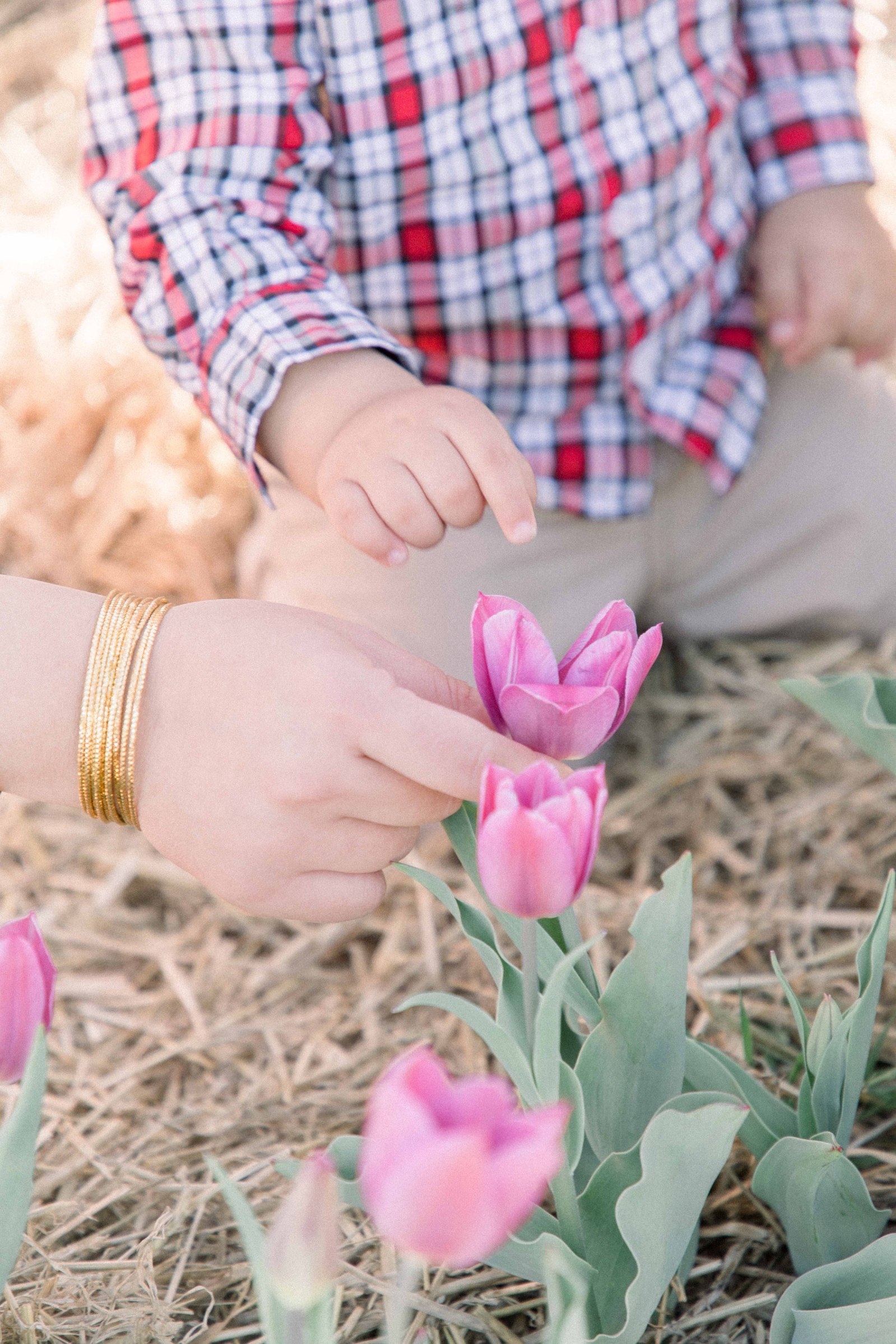 Detailed image of baby boy picking a pink tulip on a tulip farm. Vankleek Hill Portrait Photographer, L'Orignal, Champlain, Prescott-Russell, Family Photography, Candid Photography, Natural Photography, Emily VanderBeek Photography.