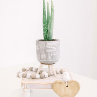 Stylized product photo of plant and handmade garlands in studio, Emily VanderBeek Photography, Portrait and Family photography, Niagara Photographer, Champlain Photographer, Vaudreuil-Soulanges Photographer, candid photography, authentic photography.