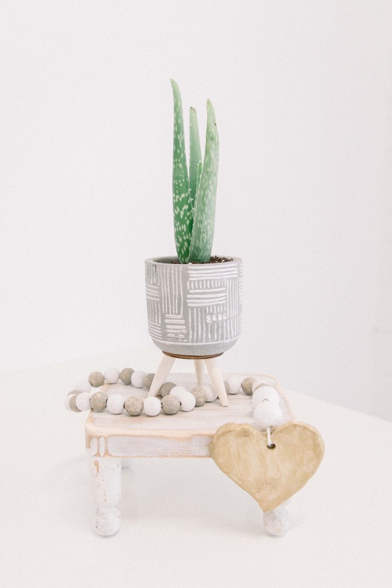 Stylized product photo of plant and handmade garlands in studio, Emily VanderBeek Photography, Portrait and Family photography, Niagara Photographer, Champlain Photographer, Vaudreuil-Soulanges Photographer, candid photography, authentic photography.